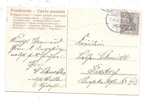 TIERE - FRÖSCHE / Frogs / Kicker / Grenouilles / Rane / Ranas - Frosch mit Maikäfer, geprägt / relief / embossed, 1906