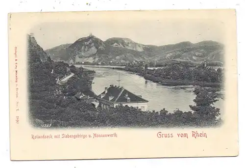 5480 REMAGEN - ROLANDSECK, Blick auf Nonnenwerth und das Siebengebirge, Relief-Karte, geprägt / embossed, Ca. 1900