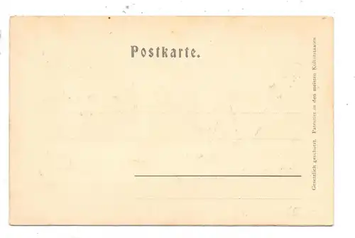 5480 REMAGEN - ROLANDSECK, Blick auf Nonnenwerth und das Siebengebirge, Relief-Karte, geprägt / embossed, Ca. 1900