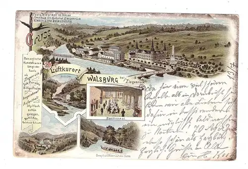 0-6551 ESSBACH - WALSBURG, Lithographie 1897, Restauration, Brettmühle, Binnenschiffe Dampfschiffahrt auf der Saale