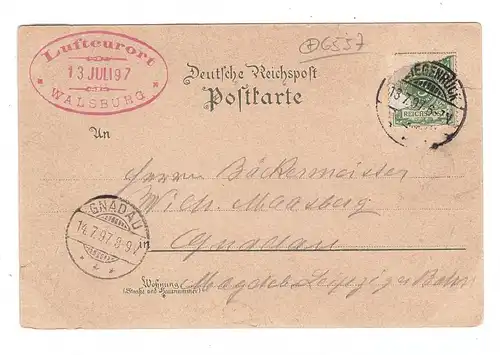 0-6551 ESSBACH - WALSBURG, Lithographie 1897, Restauration, Brettmühle, Binnenschiffe Dampfschiffahrt auf der Saale
