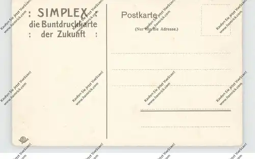 0-8921 ROTHENBURG, Blick auf die Stadt, kl. Druckstelle