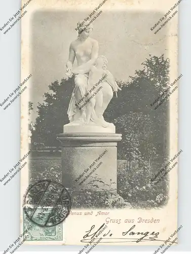 0-8000 DRESDEN, Venus und Amor, Bürgerwiese, 1902