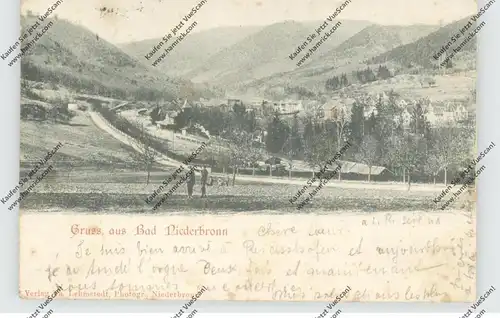 F 67110 NIEDERBRONN / NIEDERBRONN-LES-BAINS, Gruss aus..., Bahnhof, 1900