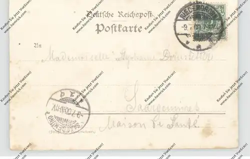 F 67110 NIEDERBRONN / NIEDERBRONN-LES-BAINS, Gruss aus..., Bahnhof, 1900