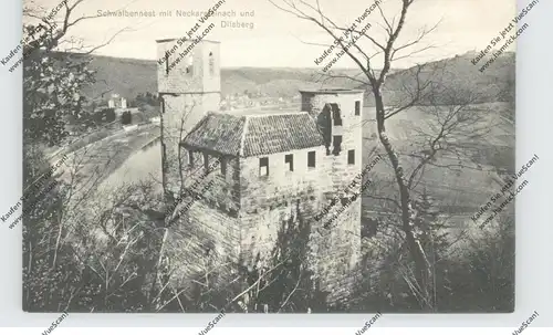 6918 NECKARSTEINACH, Schwalbennest & Dilsberg