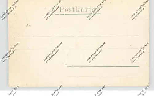 7820 TITISEE-NEUSTADT, Am Titisee, 1899, Verlag Bussemer