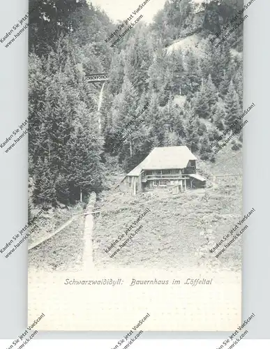7824 HINTERZARTEN - LÖFFELTAL, Bauernhaus, Trenkler, 1905