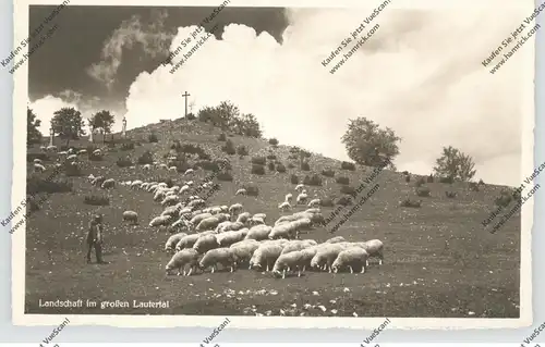 LANDWIRTSCHAFT - Schafherde im großen Lautertal