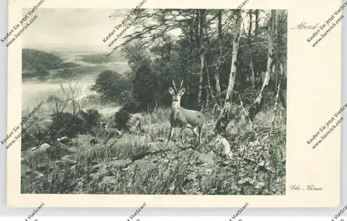 JAGD / Hunting / Jacht / Caccia / Chase / Caza / Lowiectwo, Rehe, Künstler-Karte Chr. Kröner