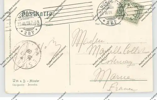 7900 ULM,  Münster, Chorgestühl - SECUNDUS, 1909