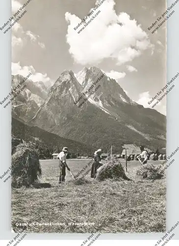 LANDWIRTSCHAFT - Heuernte bei Garmisch, 1958