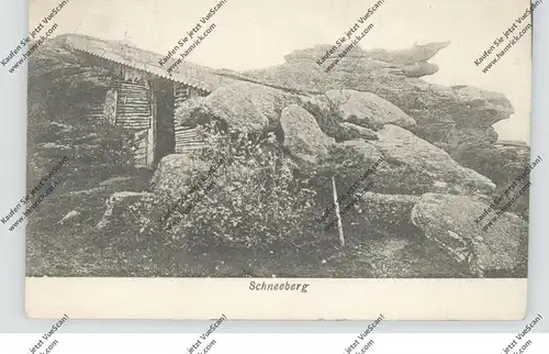 F 67710 WANGENBOURG-ENGENTHAL, Schneeberg mit Berghütte