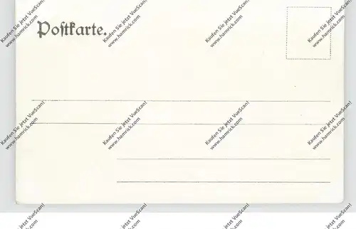 0-9000 CHEMNITZ, Zimmermannsche Naturheilanstalt und Umgebung