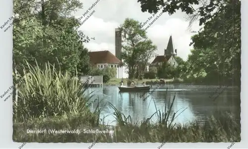 5419 DIERDORF, Schloßweiher