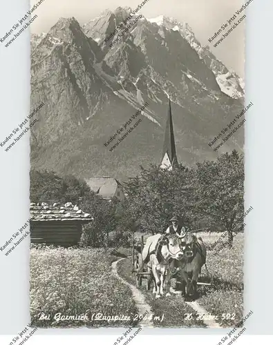 LANDWIRTSCHAFT - Ochsengespann bei Garmisch