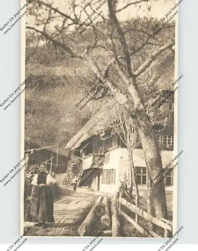 LANDWIRTSCHAFT - Bauernhof im Schwarzwald,