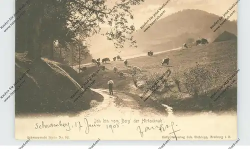 LANDWIRTSCHAFT, Kuhhirt mit Herde, Schwarzwald-Idyll, 1905