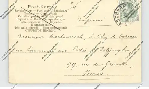 LANDWIRTSCHAFT, Kuhhirt mit Herde, Schwarzwald-Idyll, 1905