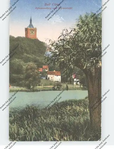 4190 KLEVE, Schwanenburg von Kermisdahl, 1918