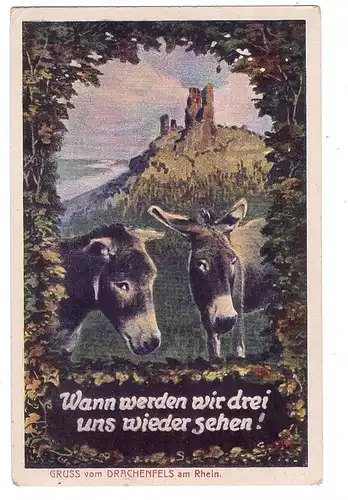 5330 KÖNIGSWINTER, Esel vor Drachenfels, Humor, "Wann werden wir drei uns wieder sehen "