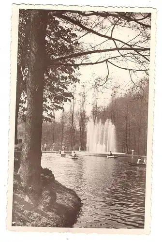 5650 SOLINGEN - WALD, Märchenwald Ittertal, Fontäne, Photo-AK