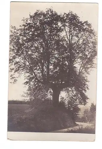 5227 WINDECK - DATTENFELD, Partie bei Dattenfeld, Photograph Arthur Wacker - Lohmar