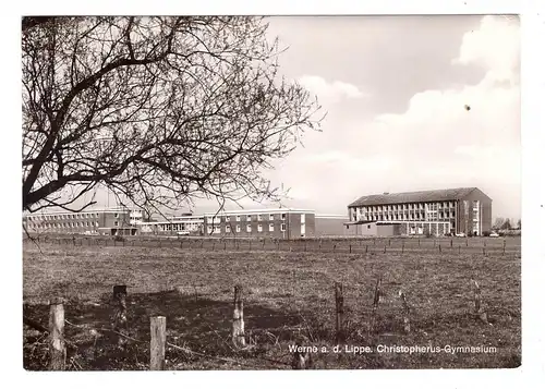 4712 WERNE, Gymnasium