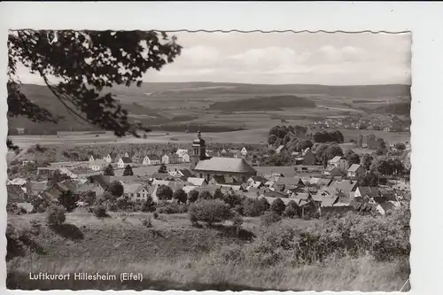 5533 HILLESHEIM bei Gerolstein, Ortsansicht