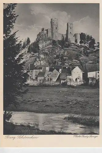 5541 SCHÖNECKEN, Burg