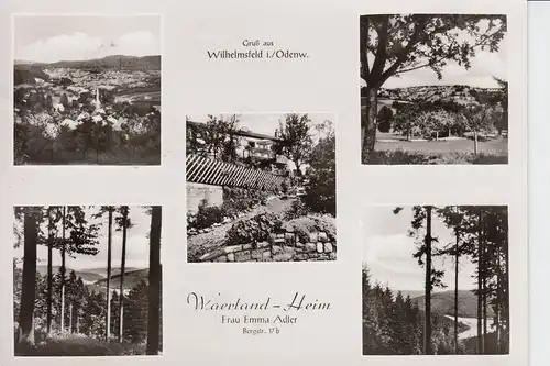 6901 WILHELMSFELD, Waerland-Heim, 1966