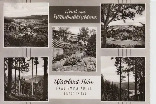 6901 WILHELMSFELD, Waerland-Heim, 1963