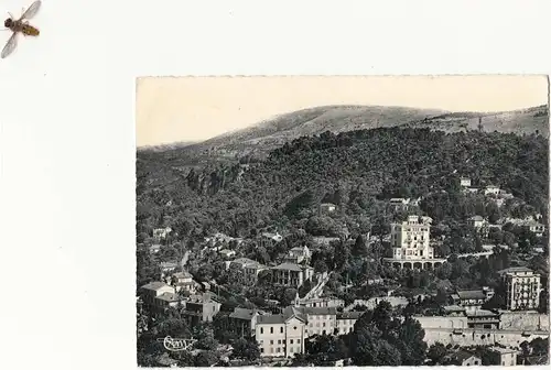 F 06130 GRASSE, Foret de Roquevignon