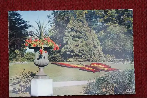 F 59400 CAMBRAI, Parc Public, Papillon - Schmetterling - butterfly - vlinder