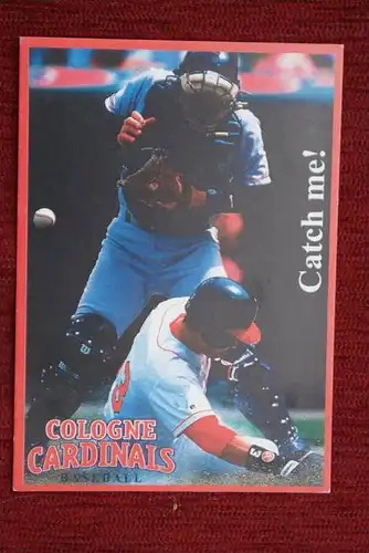 SPORT - BASEBALL, Cologne Cardinals - Saison 2000