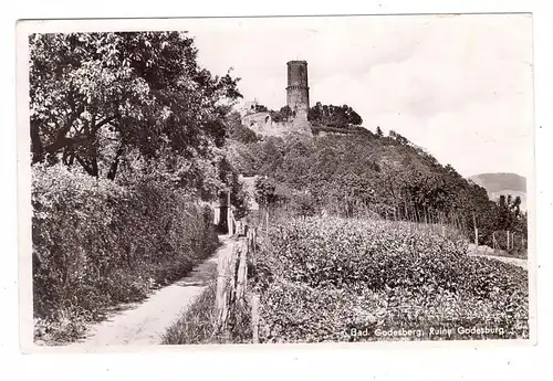 5300 BONN - BAD GODESBERG, Gärten unterhalb der Godesburg, 1957