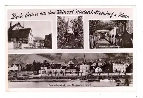 5330 KÖNIGSWINTER - NIEDERDOLLENDORF, Weinkeller Bredersdorf, Dorfstrasse, Gesamtansicht vom Rhein, Weinlese