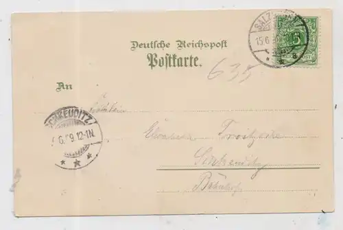 0-6200 BAD SALZUNGEN, Lithographie 1899, Gradiergang, Kurhaus, Ortsansicht