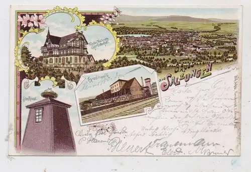 0-6200 BAD SALZUNGEN, Lithographie, Kinder-Heilstätte, Gradierwerk, Storchennest, Gesamtansicht