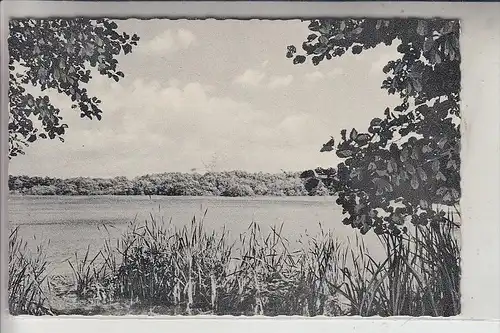 4530 IBBENBÜREN - ZUMWALDE, Naturschutzgebiet "Heiliges Meer", 1958