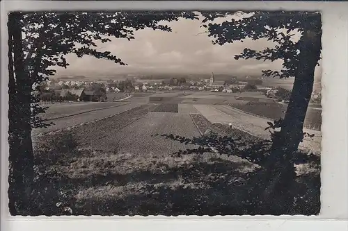 4520 MELLE - WELLINGHOLZHAUSEN, Blick vom Campingplatz, 1958, Brfm. fehlt