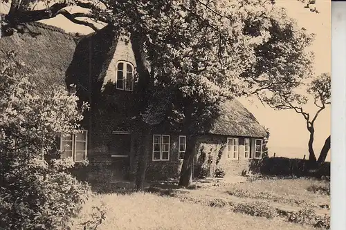 2280 SYLT, typisches Haus, Verlag: Bräuner-Sylt