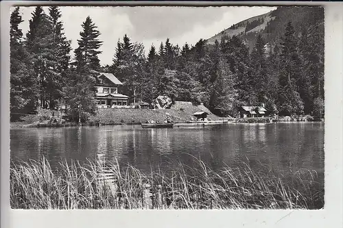 CH 3718 KANDERSTEG, Blausee, 1960