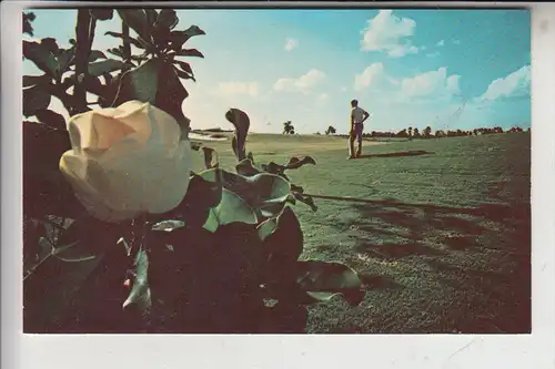 SPORT - GOLF - Magnolia Course, Disney World