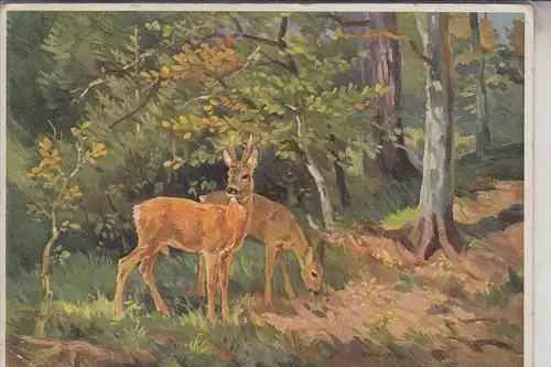 JAGD / Hunting / Chasse / Caccia / Jacht / Caza / Lowiectwo - "Waldlichtung" Künstler-Karte J.W.Keller-Kühne