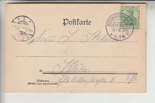 1000 BERLIN, Panorama, 1904, Poststempel SCHMARGENDORF