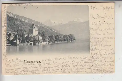 CH 3653 OBERHOFEN, Ansicht vom See, 1903