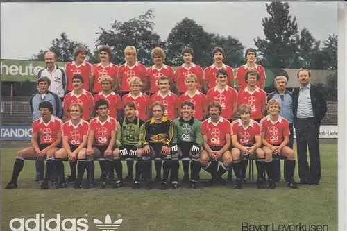 SPORT - FUSSBALL - BAYER LEVERKUSEN, Mannschaftsfoto, 1980/81