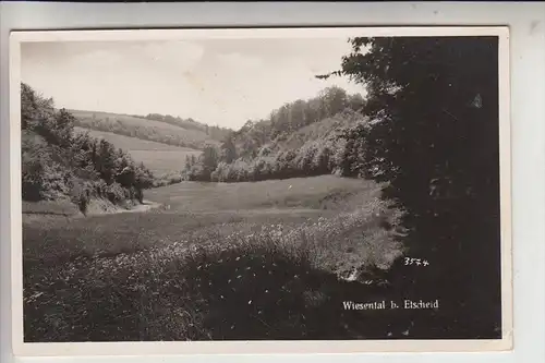 5464 ASBACH - NEUSTADT/Wied - ETSCHEID, Wiesental, Landpoststempel "Etscheid über Asbach"