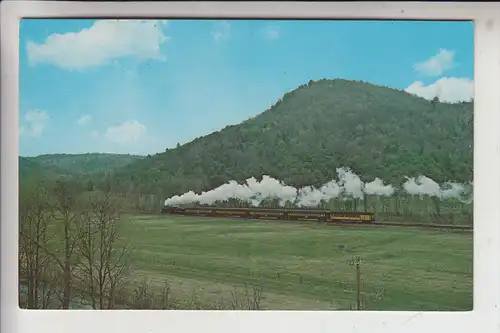 USA - VERMONT - BELLOWS FALLS "Steamtown USA, Railway - Eisenbahn